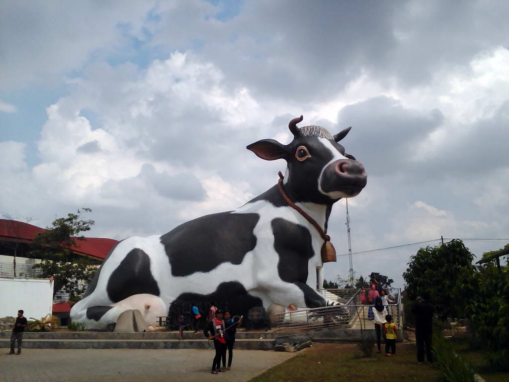 Kode singkatan kota Boyolali = BYL