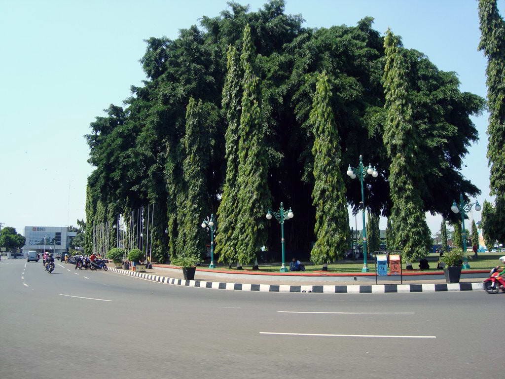 Kode singkatan kota Purbalingga = CLP